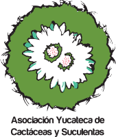 Miembros de la Asociación ASYCS